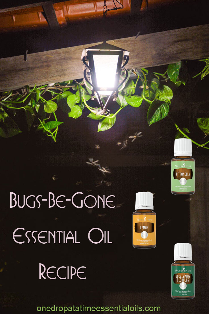 Bugs-Be-Gone Essential Oil Recipe