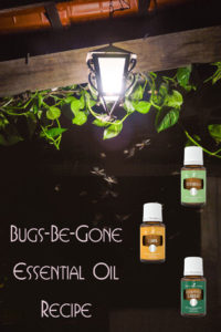 Bugs-Be-Gone Essential Oil Recipe