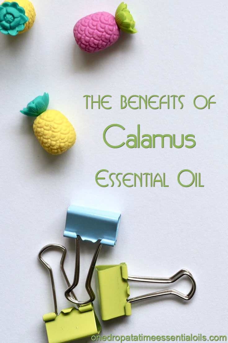 Calamus Essential Oil