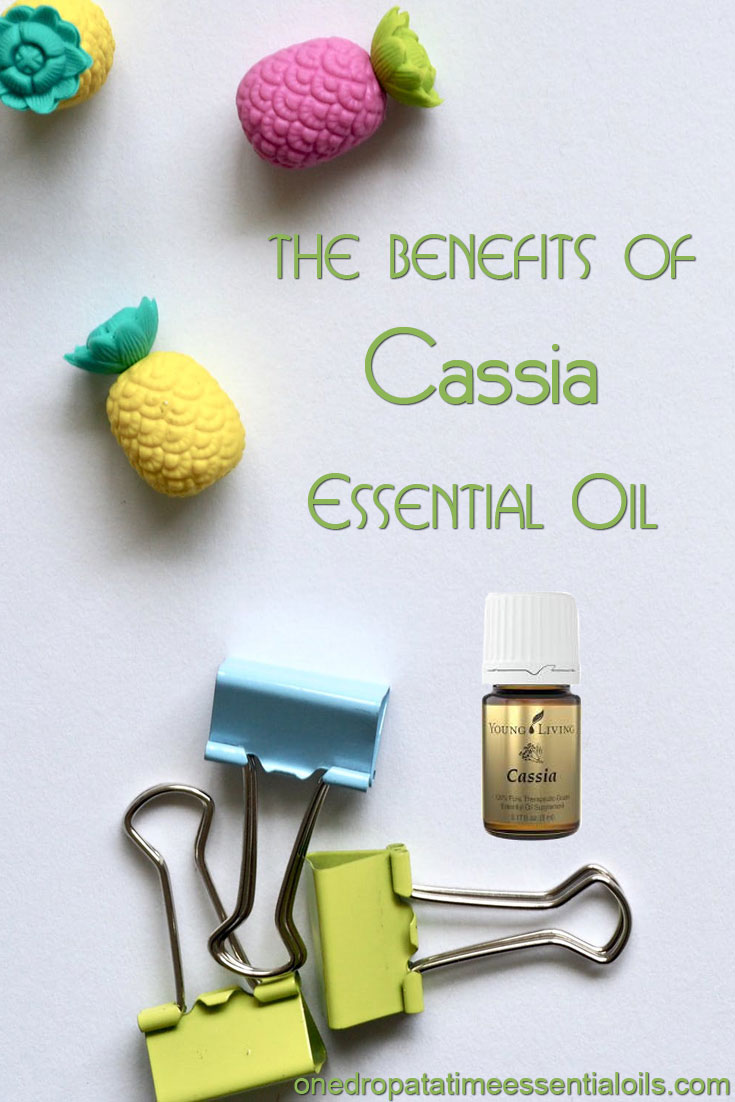 Cassia Essential Oil