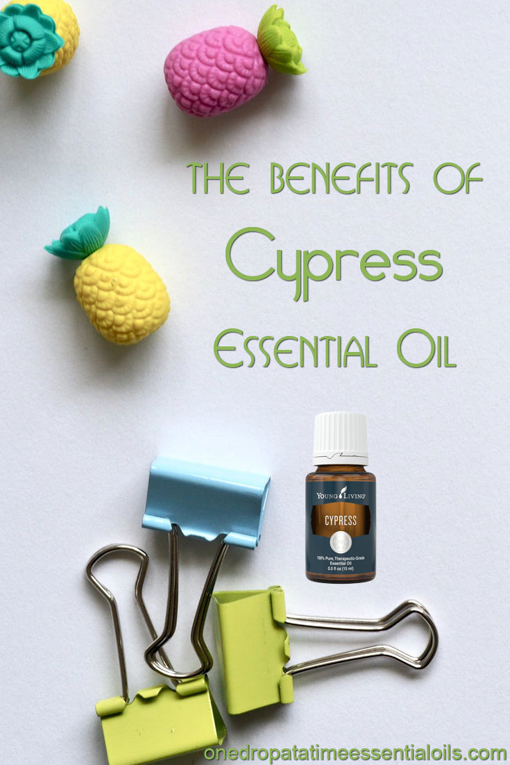 Cypress Essential Oil