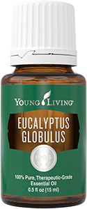 Eucalyptus Globulus Essential Oil