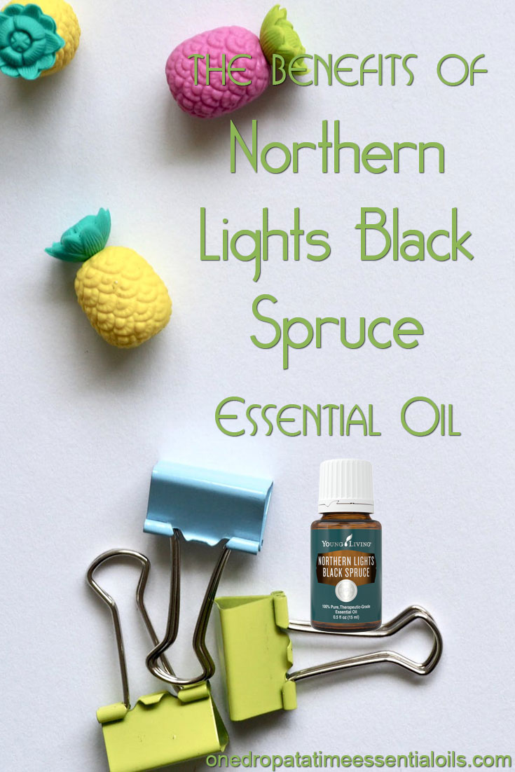 Northern Lights Black Spruce Essential Oil