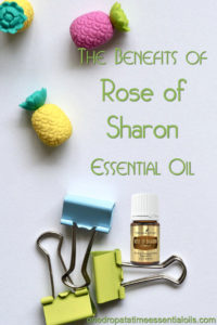 Rose Of Sharon Essential Oil