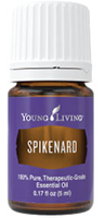 Spikenard