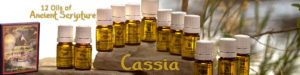 Twelve Oils of Ancient Scripture - Cassia Essential OIl