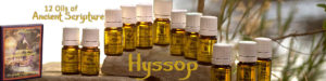 Twelve Oils of Ancient Scripture - Hyssop Essential Oil