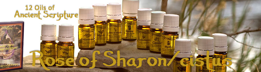 Twelve Oils Of Ancient Scripture - Rose of Sharon/Cistus Essential Oil