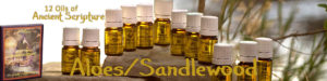 Twelve Oils of Ancient Scripture - Aloes/Sandlewood Essential Oils
