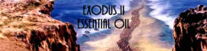 Exodus II Essential Oil