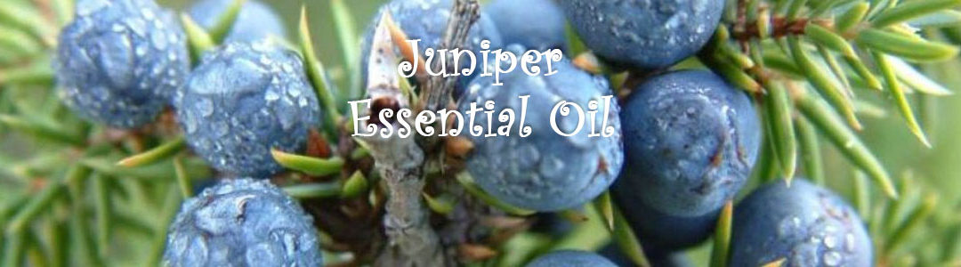 Juniper Essential Oil
