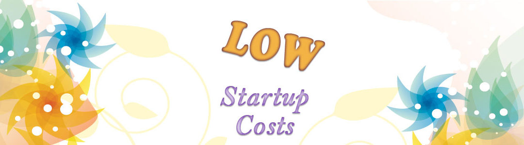 Low Startup Cost