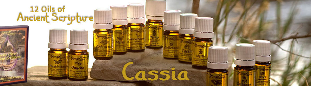 Twelve Oils of Ancient Scripture - Cassia Essential OIl