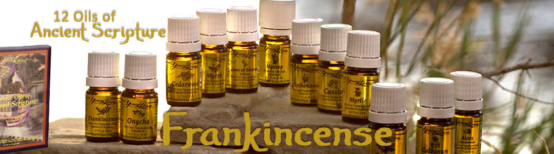 Twelve Oils of Ancient Scripture - Frankincense Essential Oil
