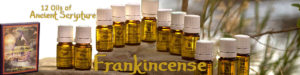 Twelve Oils of Ancient Scripture - Frankincense Essential Oil