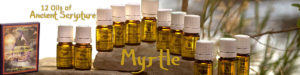 Twelve Oils of Ancient Scripture - Myrtle Essential Oil
