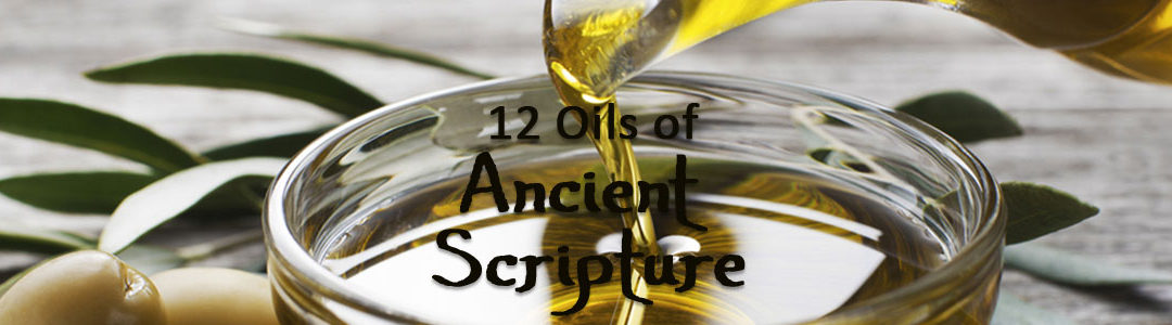Twelve Oils Of Ancient Scripture