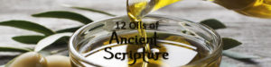 Twelve Oils Of Ancient Scripture