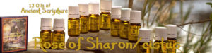 Twelve Oils Of Ancient Scripture - Rose of Sharon/Cistus Essential Oil