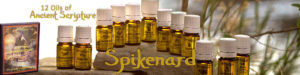 Twelve Oils of Ancient Scripture - Spikenard Essential Oil